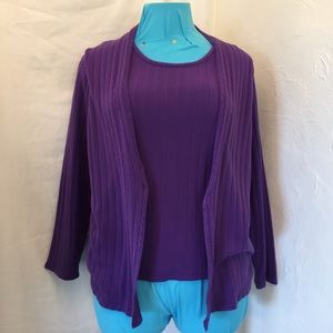 Jasonmaxwell Purple Sweater Top Size 22/24